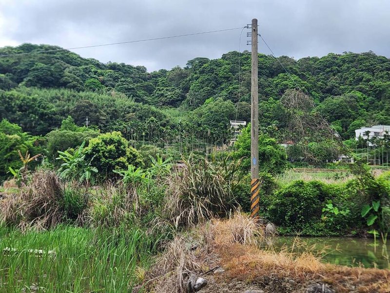 新北市三芝區八賢里山區近期屢傳電纜遭剪（圖）、農作物遭竊等情形，且竊賊閃避監視器，報警也難追查。警方11日表示，將加強巡邏、增設監視器等，避免再度發生。（鄭宇恩提供）中央社記者高華謙傳真  113年7月11日