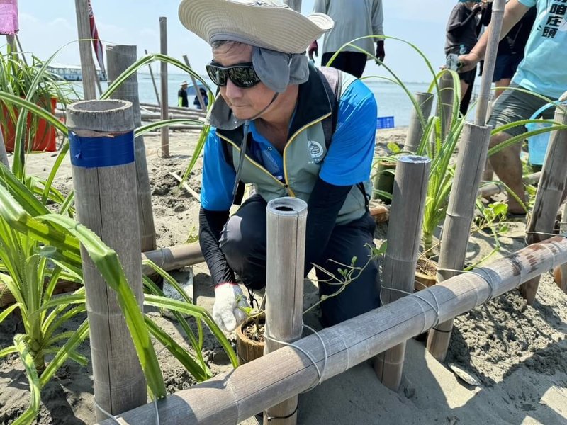 林業及自然保育署南投分署17日在嘉義外傘頂洲舉辦地被植生活動，分署長李政賢（圖）等人共同栽植馬鞍藤及濱刀豆等植物並以竹筒加固，盼提高植生渡冬及蔓延拓展機會，為外傘頂洲編織一張綠色固沙網。（林業及自然保育署南投分署提供）中央社記者姜宜菁傳真  113年7月17日