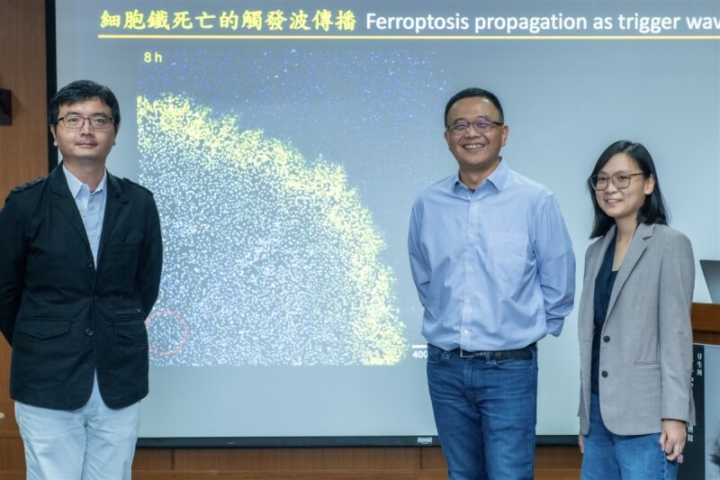 中研院分子生物研究所助研究員陳昇宏(右2)的研究團隊首度發現「活性氧化物」所造成的鐵死亡觸發波,是造成大規模細胞死亡的原因,為胚胎發育提供了一種新的解釋,18日在記者會中發表最新成果。(中研院提供)中央社記者吳欣紜傳真 113年7月18日