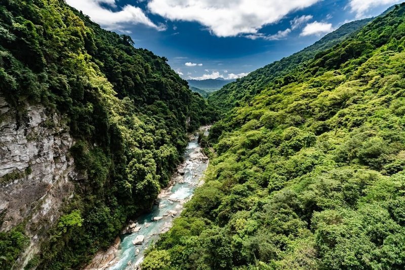 颱風凱米逐漸接近，考量山區天候不穩定，為確保遊客安全，林業及自然保育署花蓮分署轄管的花蓮池南及富源國家森林遊樂區（圖）、林田山林業文化園區、大農大富平地森林園區等，自23日下午1時起預警性封閉。（林業及自然保育署花蓮分署提供）中央社記者李先鳳傳真  113年7月23日