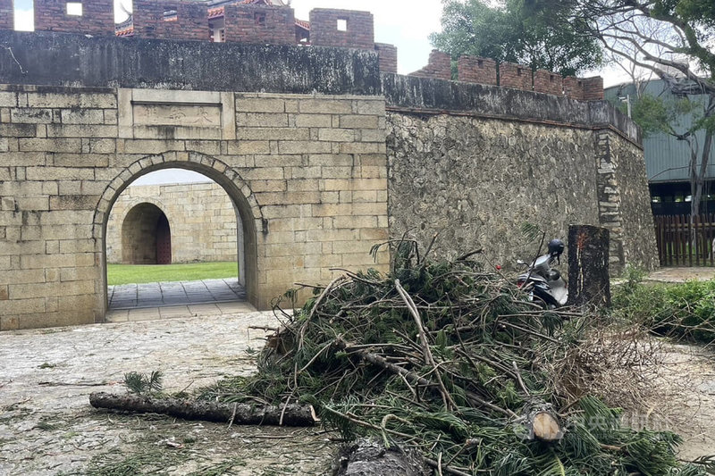 台南市政府工務局委託專業團隊進行南門公園內樹木健檢，發現南洋杉等有倒伏風險，22日進行移除作業時，不慎造成國定古蹟大南門城右側城垛部分損壞。中央社記者楊思瑞攝  113年7月23日