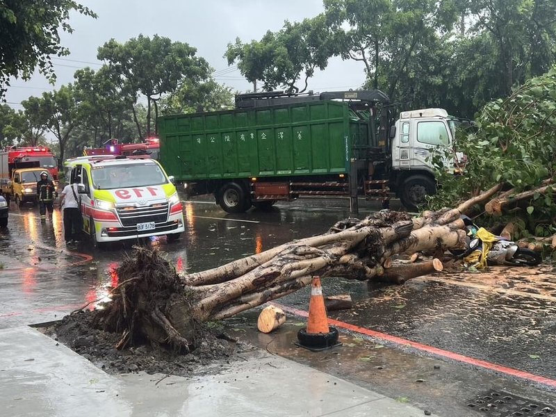 颱風凱米侵襲帶來強烈風雨，一名婦人24日中午騎車行經高雄鳳山區建國路一段時，遭倒塌路樹壓傷，救護人員到場時發現婦人已呈現OHCA（到院前心肺功能停止），送醫搶救中。（高市消防局提供）中央社記者洪學廣傳真 113年7月24日