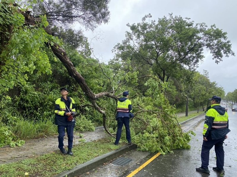 颱風凱米來襲，台中市南屯區向上路五段24日發生路樹倒塌，影響車輛通行，警方出動小型電鋸將路樹移到路旁，排除障礙。（民眾提供）中央社記者郝雪卿傳真  113年7月24日