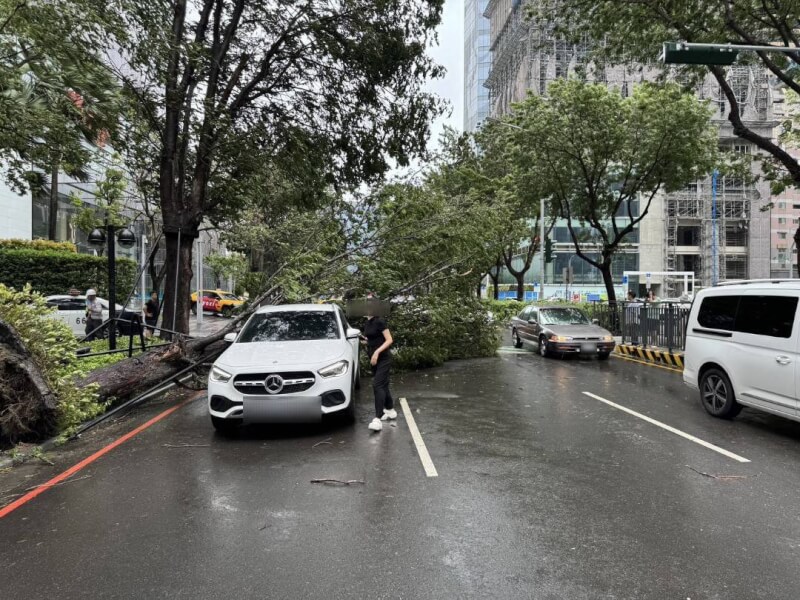 台中市西屯區七期百貨商圈發生路樹倒塌事件,殃及2輛行經車輛,所幸沒有人員受傷。(民眾提供)中央社記者郝雪卿傳真 113年7月24日