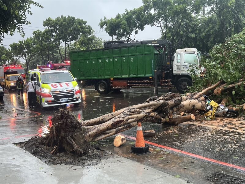 颱風凱米侵襲帶來強烈風雨,一名婦人24日中午騎車行經高雄鳳山區建國路一段時,遭倒塌路樹壓傷,救護人員到場時發現婦人已呈現OHCA(到院前心肺功能停止),送醫搶救中。(高市消防局提供)中央社記者洪學廣傳真 113年7月24日