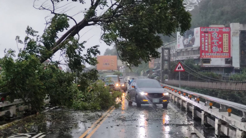 颱風凱米進逼台灣，各地風雨越晚將越顯著，嘉義縣阿里山公路34.4K番路鄉觸口段24日下午有路樹倒伏、阻礙交通，一度只能單線通車。（警方提供）中央社記者蔡智明傳真 113年7月24日