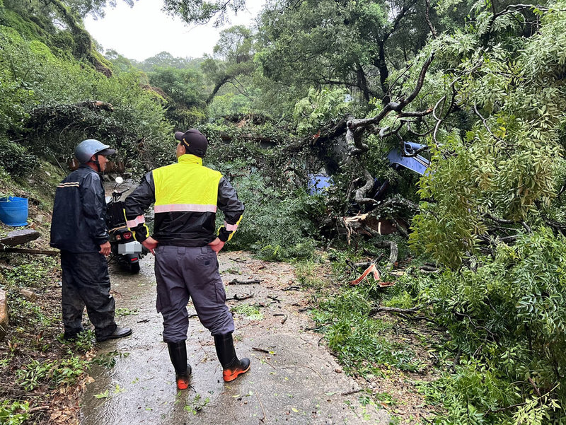 颱風凱米暴風圈25日凌晨接觸馬祖陸地，全縣整日壟罩在風雨中，連江縣消防局統計至下午5時30分止，共接獲17件災情通報，大部分為路樹倒塌。（連江縣消防局提供）中央社記者潘欣彤傳真  113年7月25日