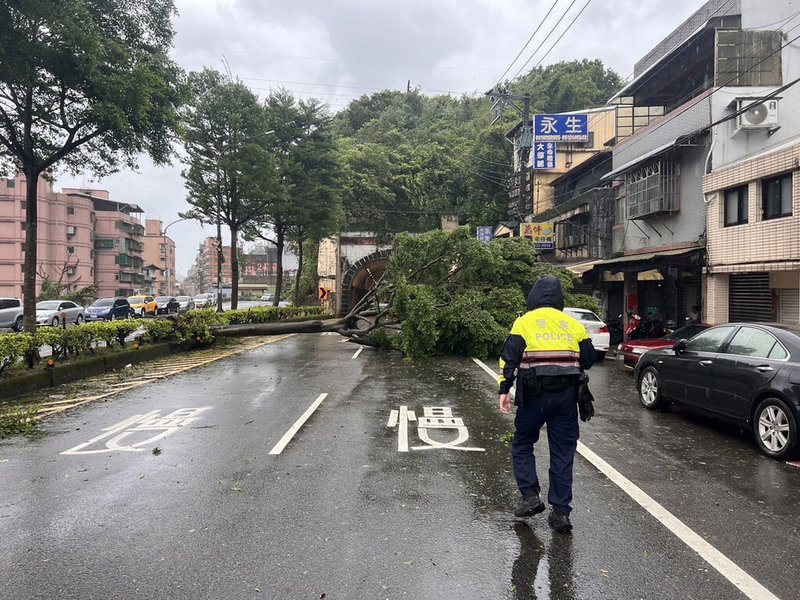 基隆市南榮路通往市區的「基隆隧道」前路樹25日不抵強風豪雨倒塌，導致交通受阻，警方到場拉起封鎖線管制，經相關單位移除後，下午1時20分恢復單線通車。（基隆市警察局提供）中央社記者王朝鈺傳真  113年7月25日