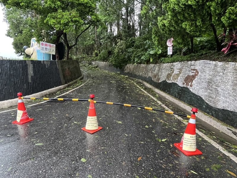 颱風凱米逐漸遠離，花蓮美崙山生態公園（圖）等多個縣府農業處轄管遊憩區，都有樹木倒塌等情形，為維護遊客安全，25日起全面休園整頓，開放日另行公告。（花蓮縣農業處提供）中央社記者李先鳳傳真  113年7月25日