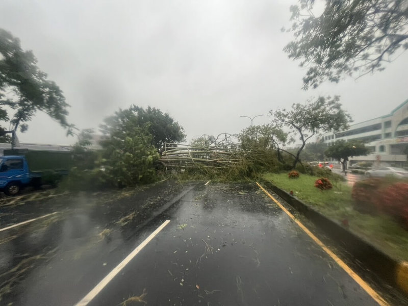 颱風凱米襲台在全台各縣市帶來各式災情，雲林地區四處可見路樹倒塌、招牌掉落、電桿傾倒等，雲林國中前也有路樹倒伏，影響交通。（民眾提供）中央社記者蔡智明傳真  113年7月25日