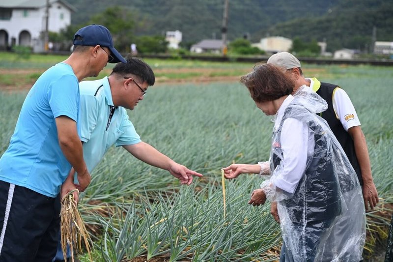 颱風凱米挾帶強風豪雨襲台，宜蘭縣農作物受損嚴重，宜蘭縣長林姿妙（前右）25日到三星鄉蔥農田區勘查青蔥受災情形。（宜蘭縣政府提供）中央社記者王朝鈺傳真  113年7月25日