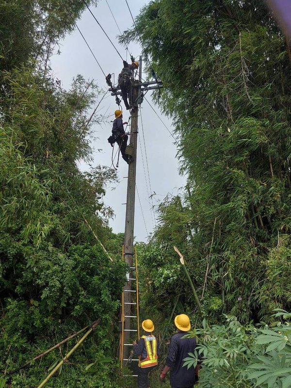 颱風凱米過境，台灣電力公司苗慄區營業處統計，這次颱風造成轄內曾停電戶數達1萬6394戶，經持續搶修，到25日下午1時30分仍有約538戶停電中，將力拚儘速恢復供電。（台電苗慄區營業處提供）中央社記者管瑞平傳真  113年7月25日