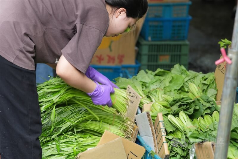 圖為台北市北投區的市場菜販26日在攤位整理葉菜類商品。（中央社檔案照片）