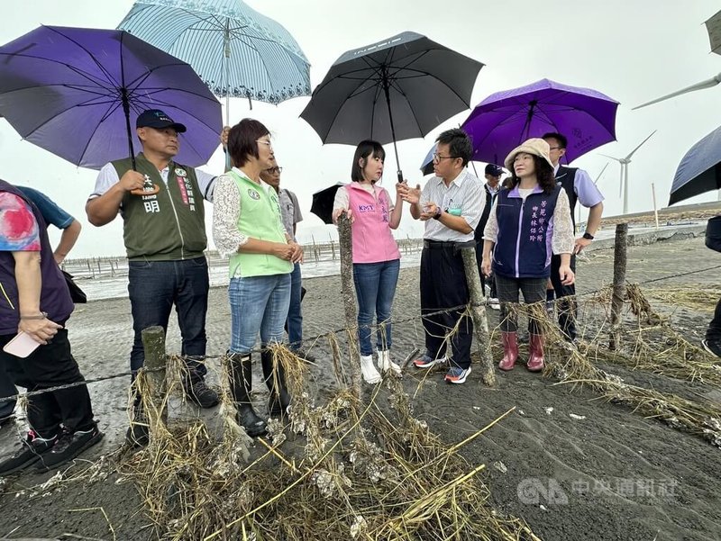 颱風凱米重創彰化縣蚵田，農業部漁業署副署長陳建佑（前右2）29日與國民黨立委謝衣鳯（前右3）、民進黨立委陳素月（前左2）等人到芳苑鄉沿海勘災。中央社記者鄭維真攝  113年7月29日