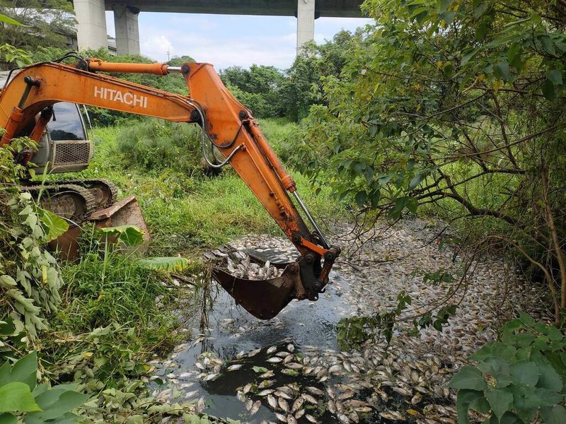 新竹縣環保局29日表示，竹東鎮生態公園第三、四期的生態池有魚群暴斃，初判是生態池溶氧量驟降，池裡的魚屍大多已撈除。（新竹縣環保局提供）中央社記者郭宣彣傳真  113年7月29日