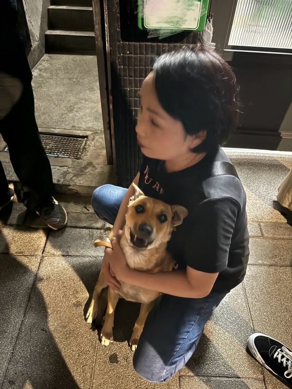 國民黨台北市議員柳采葳29日指出，有犬隻遭棒毆、勒頸，動保處卻未即時處理，2次救援才成功，呼籲針對現行制度缺失立即檢討改善，真正落實寵愛、友愛動物。（柳采葳提供）中央社記者黃麗芸傳真  113年7月29日