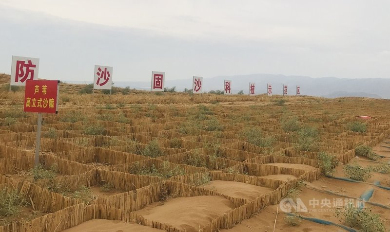 寧夏回族自治區中衛市地處騰格里沙漠邊緣，曾久為沙塵暴所若，經數十年的努力，治沙成績受到肯定。圖為位於中衛市沙坡頭區的寧夏沙坡頭國家級自然保護區，攝於29日。中央社記者周慧盈中衛攝  113年7月30日