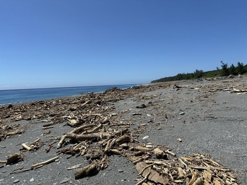 颱風凱米帶來強風、豪雨，花蓮崇德海灘等區域堆積不少漂流木，即日起開放民眾撿拾，撿拾區域及撿拾條件都有限制，農業部林業及自然保育署花蓮分署提醒民眾遵守相關規範。（林業及自然保育署花蓮分署提供）中央社記者張祈傳真  113年8月2日