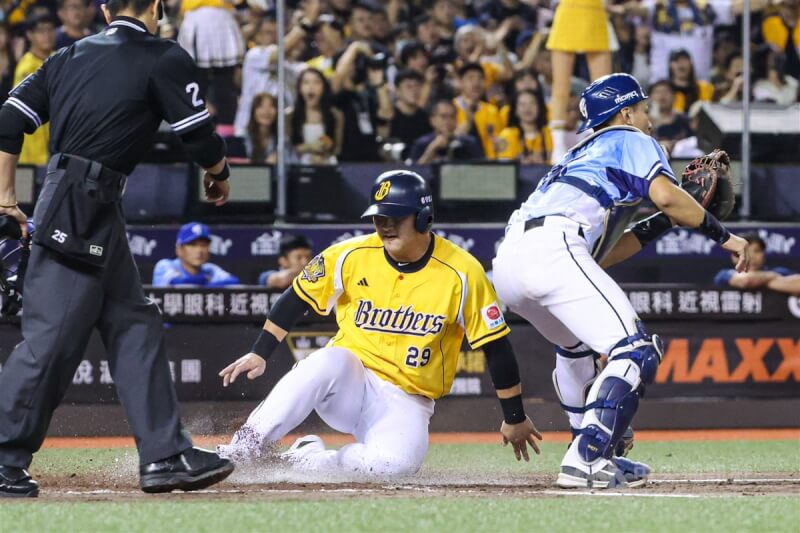 中華職棒中信兄弟隊3日晚間在台北大巨蛋例行賽以5比0戰勝富邦悍將隊,中信兄弟隊陳俊秀(中黃衣)1局下隊友助攻奔回本壘得分,助隊獲勝。中央社記者鄭清元攝 113年8月3日