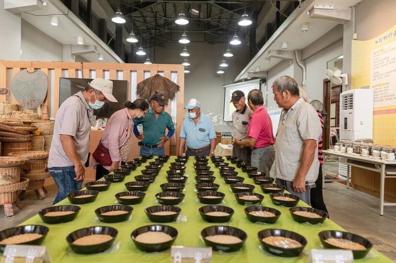 台東縣池上鄉公所6日舉辦一期作台灣稻米達人選拔賽,參賽稻米品質皆十分優良,評審們甚至難以抉擇高下。(池上鄉公所提供)中央社記者李先鳳傳真 113年8月6日