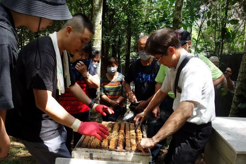 農業部林業及自然保育署南投分署13日邀仁愛鄉部落族人參加養蜂及蜂產品推廣課程（圖），有別上次教授屬於東方蜂的台灣野蜂，這次課程以屬西洋蜂一種的義大利蜂為主，適合商業飼養，提供族人更多選擇。（南投林業分署提供）中央社記者蕭博陽南投傳真  113年8月13日