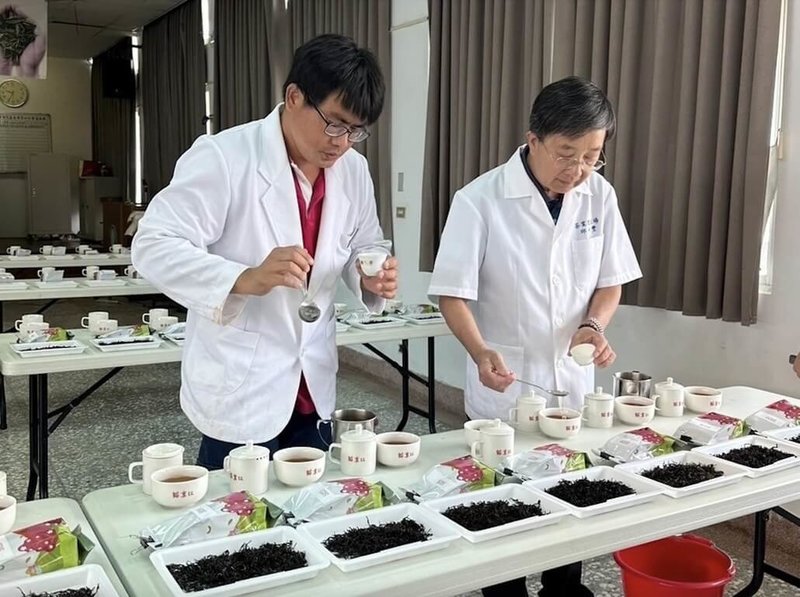 苗栗市農會辦理2024「貓裏紅」優質紅茶評鑑競賽，計有全縣31名茶農（商）共193點參賽，經過連續2天的專家評審後，15日結果出爐，由銅鑼鄉茶農韓順雄獲特等獎，預計9月11日頒獎。（苗栗市農會提供）中央社記者管瑞平傳真  113年8月15日