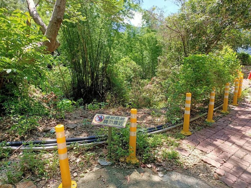 高雄市茂林區姿沙里沙里道路是紫斑蝶觀光導覽要徑，但受野溪衝擊，邊坡有崩塌之虞，市府水利局將進行整治工程，會參照專家建議，以邊坡崩塌處保護為主，不改變太多地形地貌，減輕工程對於棲地環境的衝擊。（高雄市水利局提供）中央社記者蔡孟妤傳真  113年8月19日