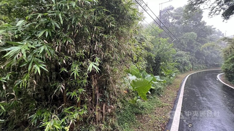 桃園市28年前曾發生一起布袋戲偶箱棄屍案，民國85年4月下旬，邱姓男子在新北市一間麵店遭犯嫌毆打，隨後犯嫌將邱男裝入布袋戲偶木箱，推落桃園市龜山區一處草叢，最終導致邱男死亡。（翻攝照片）中央社記者葉臻傳真 113年8月20日