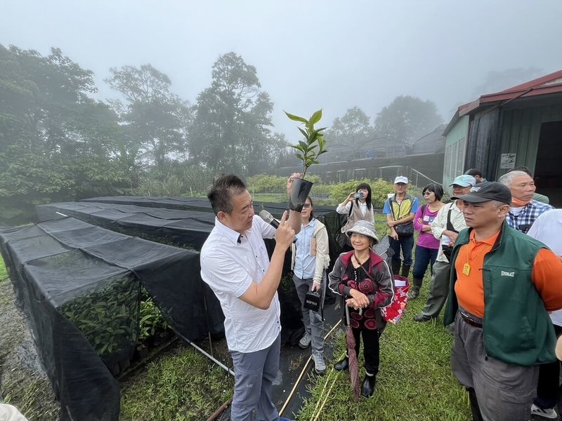 林業保育署台中分署推出林下經濟課程，指導老師在出雲山苗圃向學員介紹台灣山茶種子苗與扦插苗的不同。（林業保育署台中分署提供）中央社記者趙麗妍傳真  113年8月21日