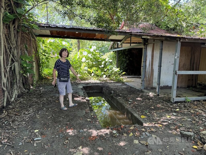 雲林縣虎尾鎮建國眷村近日進行修復及再利用調查，依據耆老的口述歷史、文史資料，過程中比對國民政府與日軍交接的地圖，意外發現日軍修車溝槽。中央社記者姜宜菁攝  113年8月21日