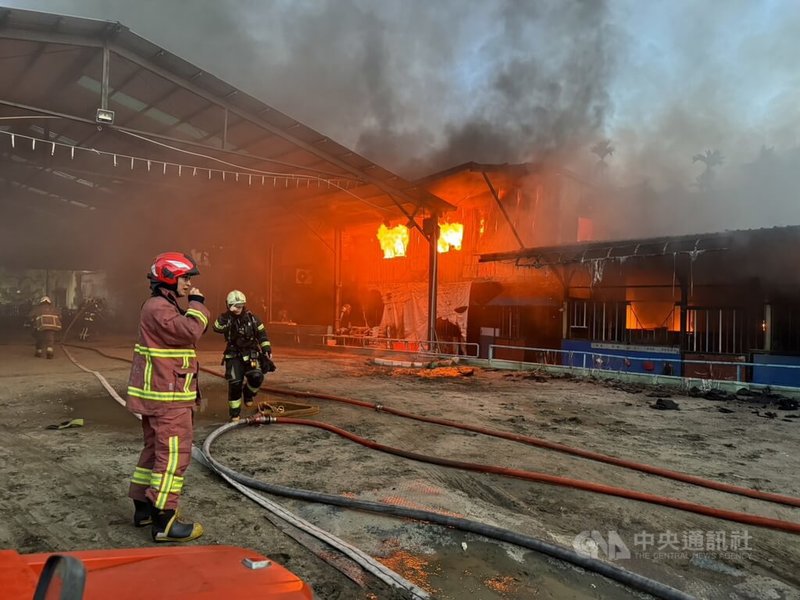 新北市板橋區1處鐵皮屋馬場22日清晨發生大火，消防局獲報立即出動人車到場搶救，幸無人傷亡，但馬場內1匹馬、1隻狗及2隻鸚鵡葬身火窟。（翻攝畫面）中央社記者黃旭昇新北傳真  113年8月22日