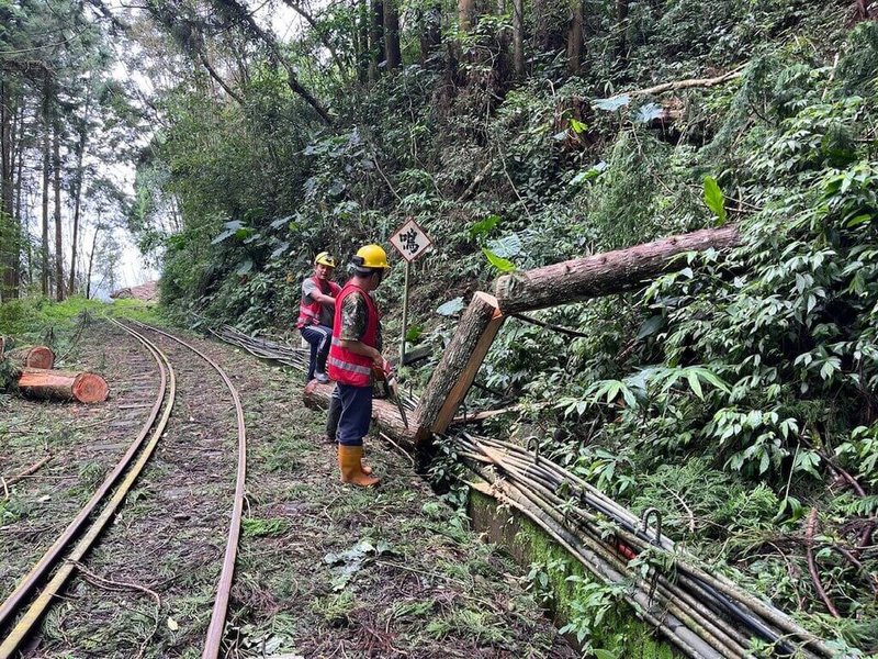 阿里山林鐵7月下旬受颱風凱米影響，沿線逾百處災情，經搶修，本線（嘉義至阿里山）預計31日恢復營運，每日開行4班次定期列車，26日起開放網路訂票。（阿里山林鐵及文資處提供）中央社記者黃國芳傳真  113年8月23日