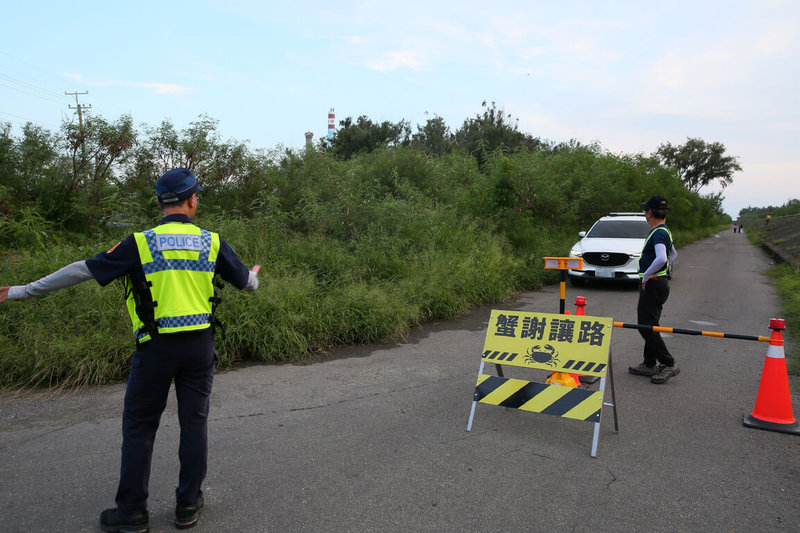 台南市安南區城西里夢幻湖及周邊海岸林是台江國家公園最重要陸蟹熱點，台江國家公園管理處今年在陸蟹繁殖季規劃3梯次護蟹交通管制，第3梯次為9月19至21日，時間為晚間6時30分至9時30分。（管理處提供）中央社記者楊思瑞台南傳真  113年8月26日