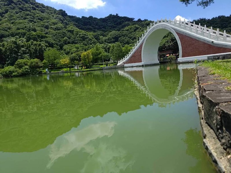 國民黨台北市議員游淑慧27日指出，近日接獲民眾陳情稱大湖公園湖泊水質變差，經派辦公室人員到場查看，發現水質優養化嚴重，且飄浮死魚和臭味，無人認領管理權責；台北市公園處表示，將主動邀集相關局處研商改善。（游淑慧提供）中央社記者黃麗芸傳真  113年8月27日