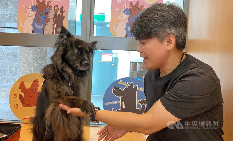 台灣心輔犬培育團隊創辦人暨技術長鍾皓羽（右）指出，心輔犬是由精心評估選出的流浪犬專業培育而成，像「戚風」（左）也是在歷經一系列培訓課程後成功化身心輔犬，可陪伴、幫助特殊族群。中央社記者黃旭昇新北市攝 113年8月27日