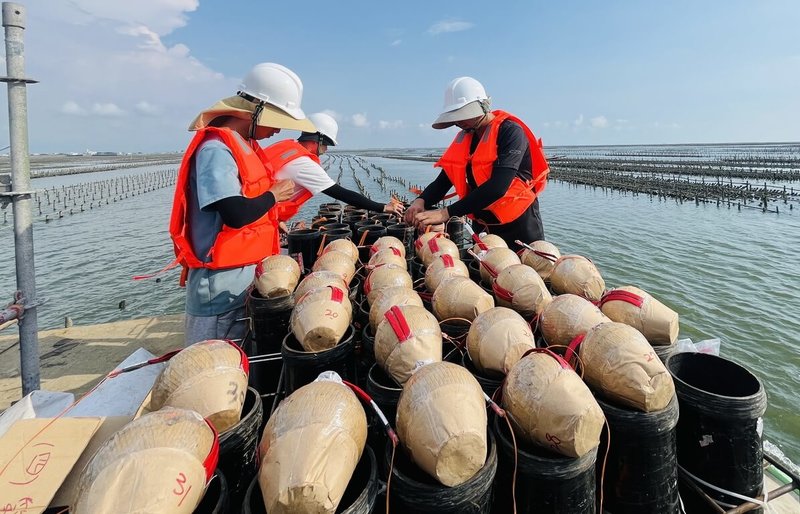 嘉義縣「2024東石海之夏煙火秀」活動31日晚間將登場，施放團隊已在近海完成煙火布設工程，縣府也會進行陸上及海上管制，維護遊客安全。（嘉義縣文觀局提供）中央社記者蔡智明傳真  113年8月30日