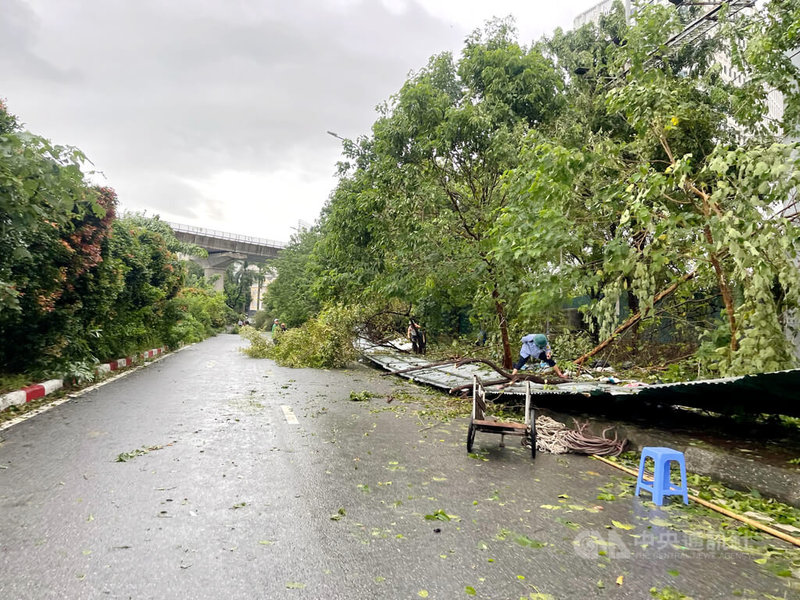 颱風摩羯被越南封為30年來最強颱風，7日登陸越南後狂風暴雨長達15個小時，首都河內市路樹共倒了3000棵。中央社記者陳家倫河內攝 113年9月8日