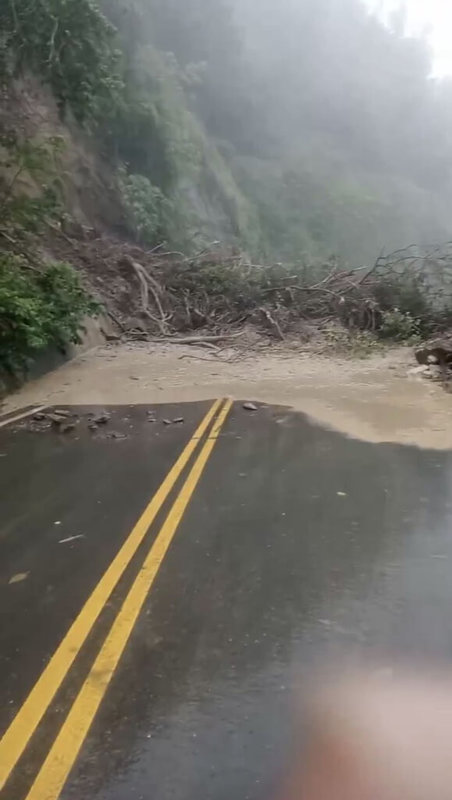 嘉義縣山區8日午後降下大雨，台3線335公里附近發生山壁坍方，樹木、土石大量滾落路面，交通中斷。（民眾提供）中央社記者蔡智明傳真  113年9月8日