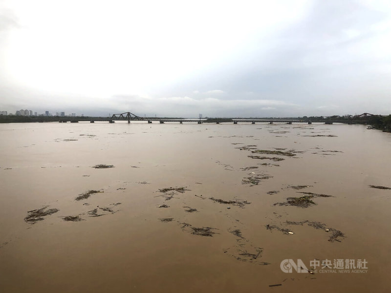 由於上游持續洩洪，河內市的紅河水位不斷上升、水流湍急混濁（圖），全市對於洪水處於高度警戒的狀態，沿岸居民已陸續撤離。中央社記者陳家倫河內攝 113年9月10日