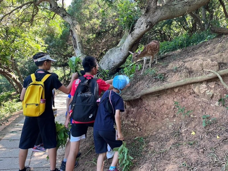 馬祖國家風景區管理處開發「大坵賞鹿趣」生態遊程，經過1年試行後，日前正式公開該遊程之環境教案、課程講義與測驗卷，鼓勵民眾在輕鬆學習情境下，深入瞭解馬祖之美，並關心保育議題。（馬祖國家風景區管理處提供）中央社記者潘欣彤傳真  113年9月12日