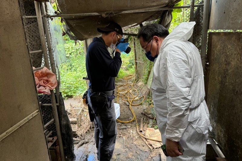 桃園市觀音區一處飼養場的越南籍女飼主遭質疑殺狗賣肉，桃園市政府動物保護處16日表示，現場勘查時並未查到屠殺犬隻事證，但已扣留28隻狗，並移請地檢署偵辦。（桃園市動保處提供）中央社記者吳睿騏桃園傳真  113年9月16日