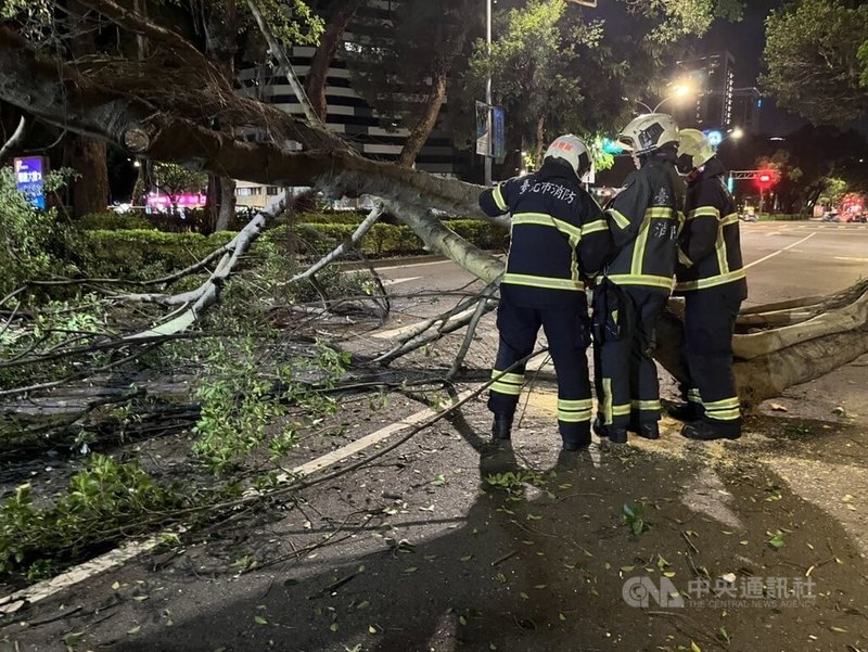 台北市敦化國小門前17日晚間發生路樹傾倒意外，所幸未釀人員傷亡，但傾倒樹幹占據車道，警消獲報立即到場進行交管及移置。（翻攝照片）中央社記者黃麗芸傳真  113年9月17日