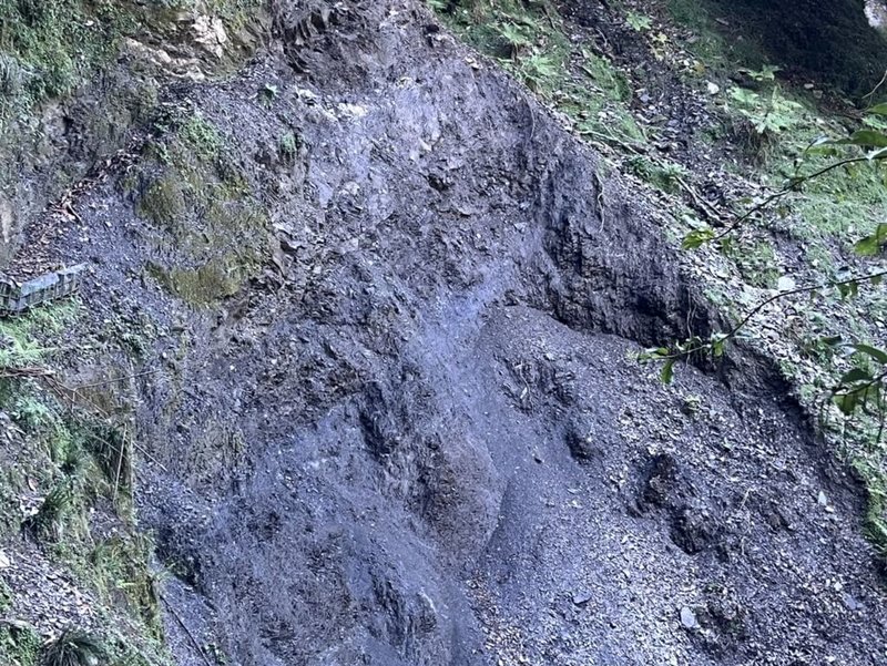 玉山國家公園八通關越嶺線西段受颱風凱米影響，目前雲龍瀑布至觀高路段仍有多處崩塌阻斷通行，玉山國家公園管理處持續搶修，以山友可通行為原則，預計10月9日前搶通。圖為八通關越嶺線西段11.6公里處路基崩塌情形。（玉管處提供）中央社記者蕭博陽南投縣傳真  113年9月19日