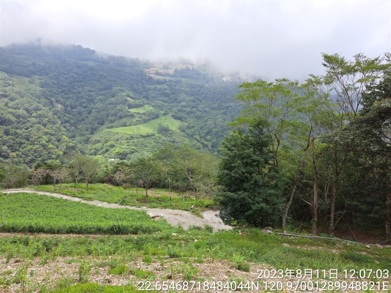 農業部林業及自然保育署推出「自然碳匯與生物多樣性專案媒合平台」 （ESG專案媒合平台），成功媒合信義房屋在台東縣金峰鄉超過2公頃國有地造林，除了固碳，也兼顧環境生物多樣性監測。（林業及自然保育署台東分署提供）中央社記者盧太城台東傳真 113年9月20日