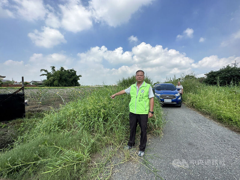 民進黨彰化縣議員李俊諭（前）26日赴溪州鄉舊濁水溪堤岸道路會勘，指出兩側長期缺乏維護，雜草高度比行人高，籲縣府相關單位盡速改善。中央社記者鄭維真攝  113年9月26日