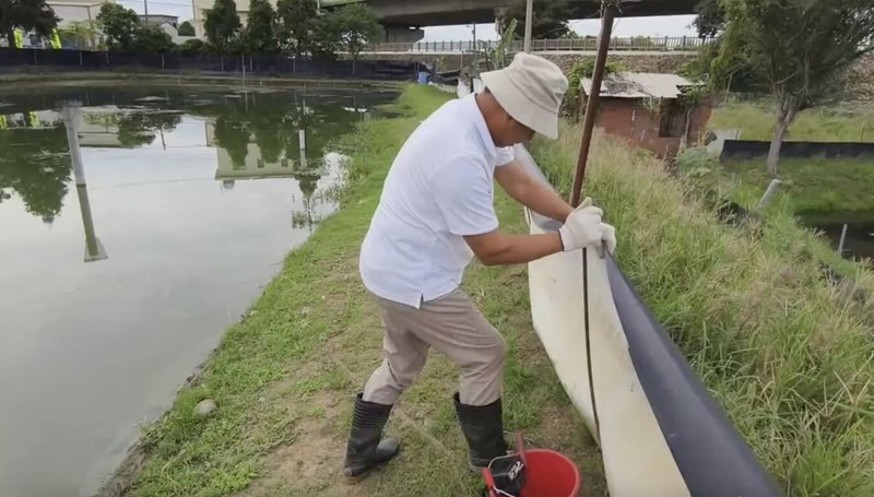 苗栗縣政府輔導養殖的優質大閘蟹即將上市，不巧遇颱風山陀兒來攪局，蟹農30日加強巡視養殖池防護工作，確保排水順暢，同時調控水位避免溢流。（民眾提供）中央社記者管瑞平傳真  113年9月30日