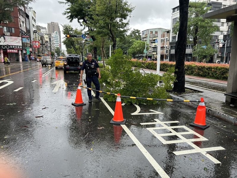 颱風山陀兒來襲，高雄市區2日午後風雨明顯增強，市警局加派人員巡邏，在凱旋二路、同慶路口發現有樹倒占據外側車道，幸無人車遭殃，隨即在現場先架起三角錐警示用路人。（警方提供）中央社記者林巧璉傳真 113年10月2日