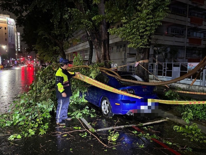 颱風山陀兒進逼南台灣，高雄地區2日風雨漸強，多處陸續有災情。其中在新興區發生路樹倒塌，剛好砸中路邊停車格內自小客車，所幸無人受傷。警方已通知車主和相關單位到場處理。（高雄市新興警分局提供）中央社記者洪學廣傳真  113年10月2日