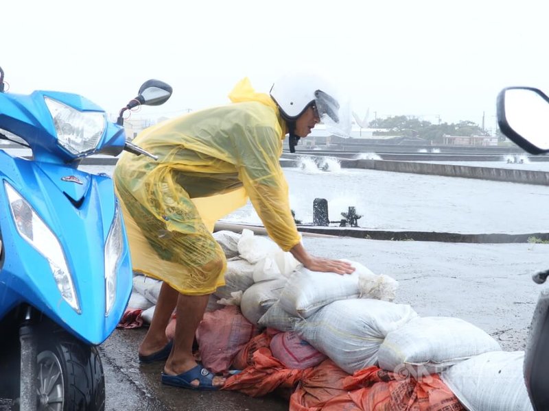 颱風山陀兒在西南外海滯留，2日屏東縣沿海風浪大，枋寮鄉大庄村鄭姓養殖業者漁塭緊鄰堤岸，他說，清晨5時以前就趕來堆沙包防止海水倒灌。中央社記者黃郁菁攝  113年10月2日