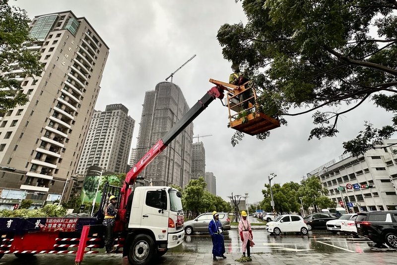 颱風山陀兒逐漸逼近台灣，高雄市工務局公園處在風雨尚未十分顯著前，把握時間針對行道樹支架進行加固巡檢及修剪，力求保障市民生命財產安全。（高雄市工務局提供）中央社記者張已亷傳真  113年10月2日